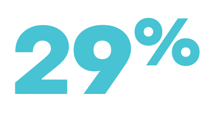 29 percent