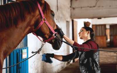 Horse Trainer to Pay $205,000 in DOL Penalties