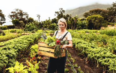 DOL Recovers $71,000 in Back Wages from Produce Business: What Small Businesses Can Learn