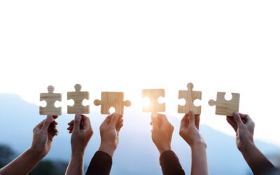 Why the Right Payroll Partner Offers More Than Just Software